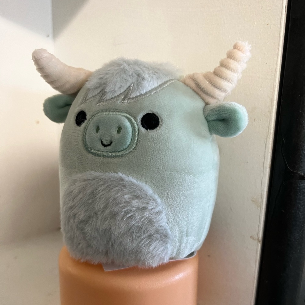 4inch Iver Squishmallow